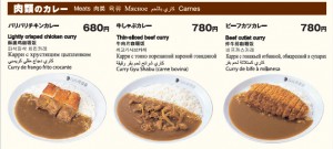 coco curry meat
