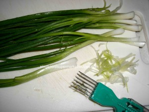 spring onion cutter pics 