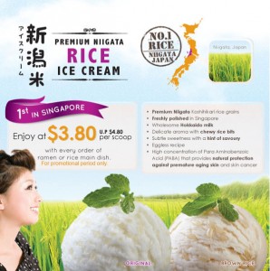 Ramen Play Premium Niigata Rice Ice Cream Promotions
